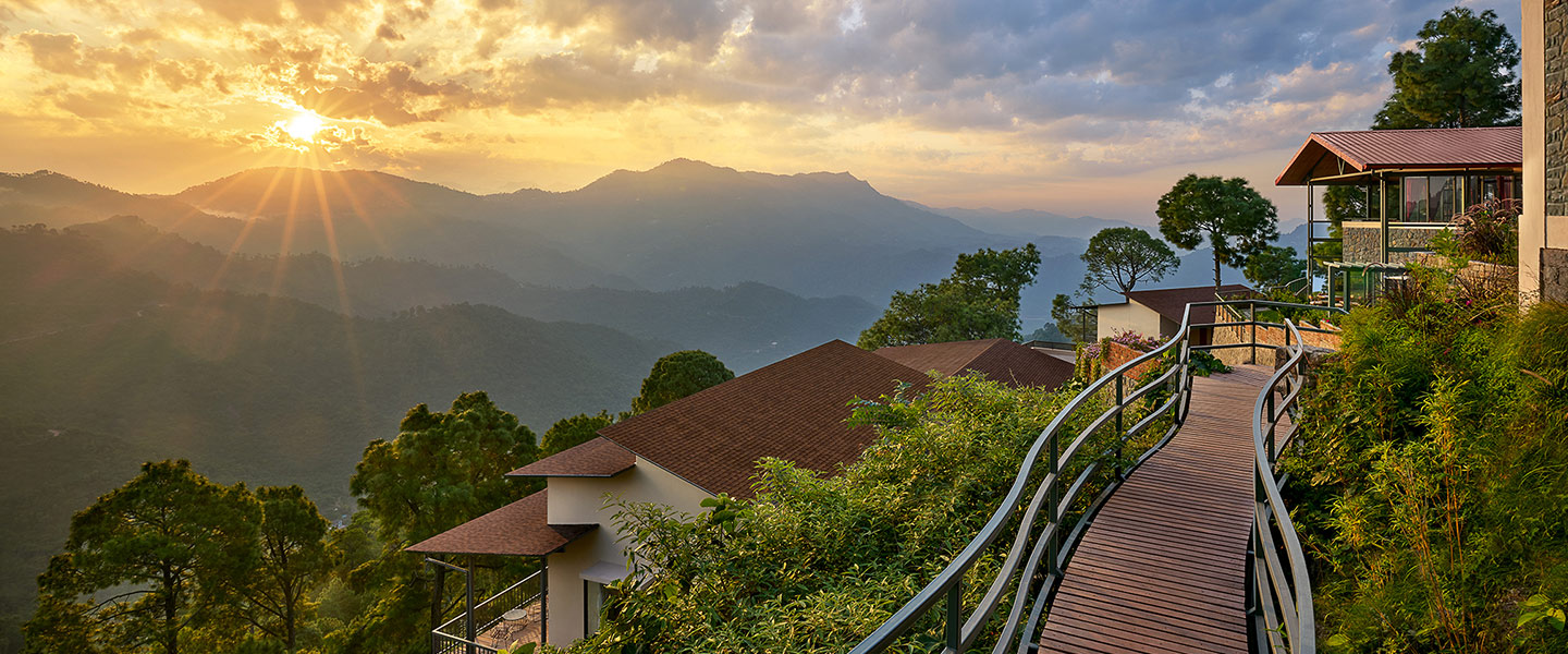 Solan