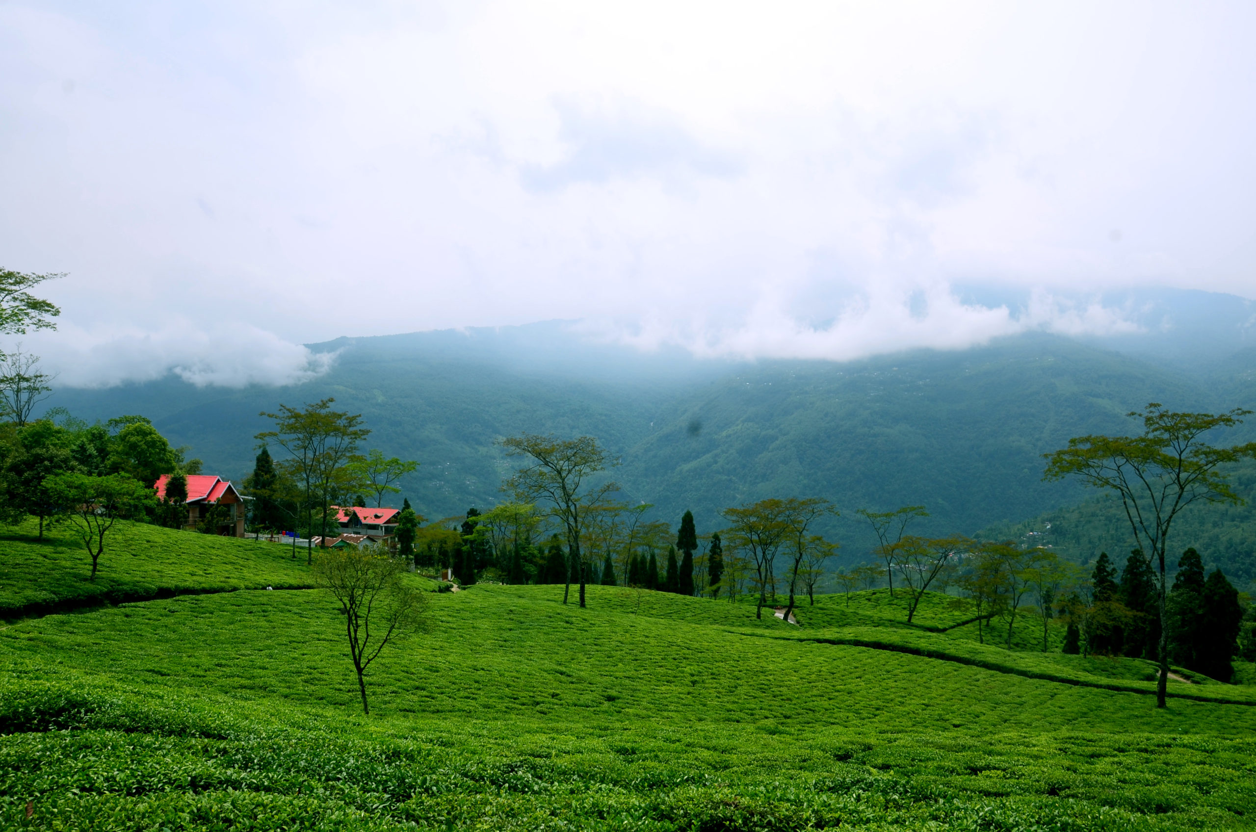Takdah