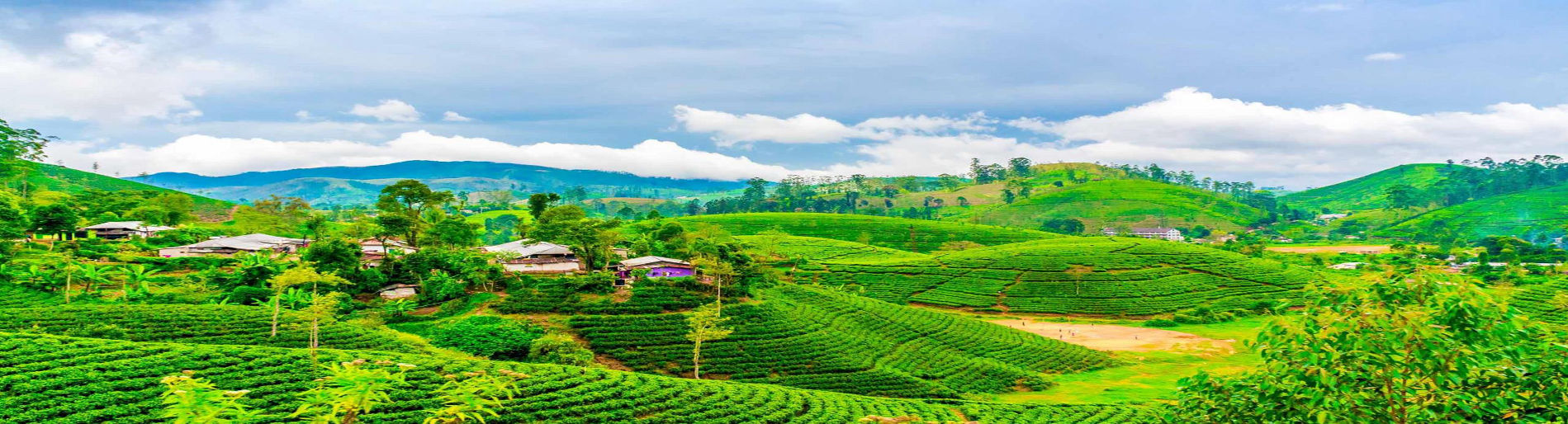 Darjeeling