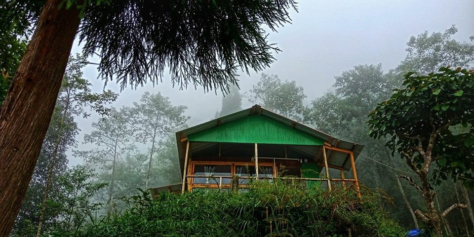 Dawaipani