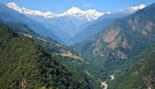 Singhik