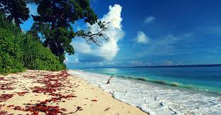 Andaman Expedition