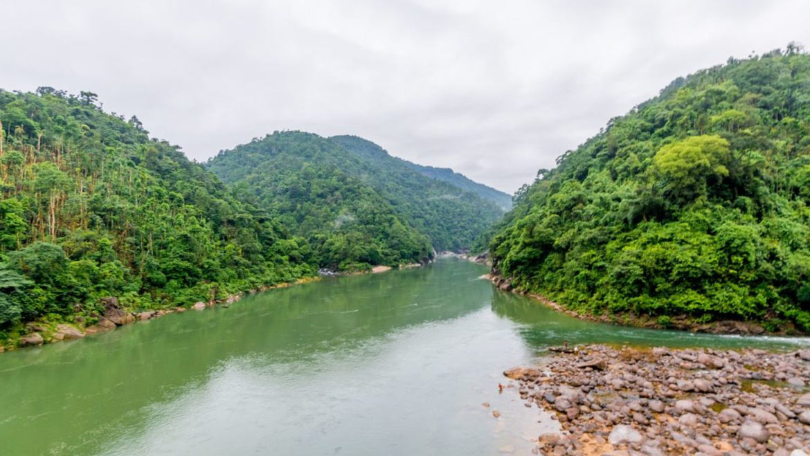 Assam Holiday
